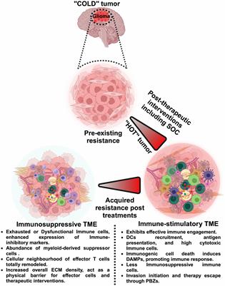 Editorial: Spatiotemporal heterogeneity in CNS tumors